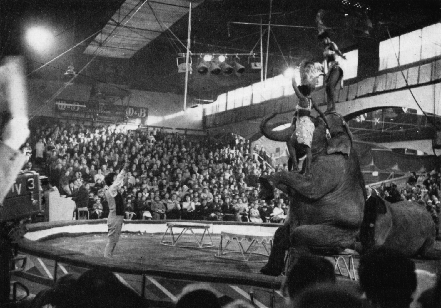 LUNCH BOX. Noele Gordon at the Circus, one of the outside broadcasts in the popular Midland series. ATV